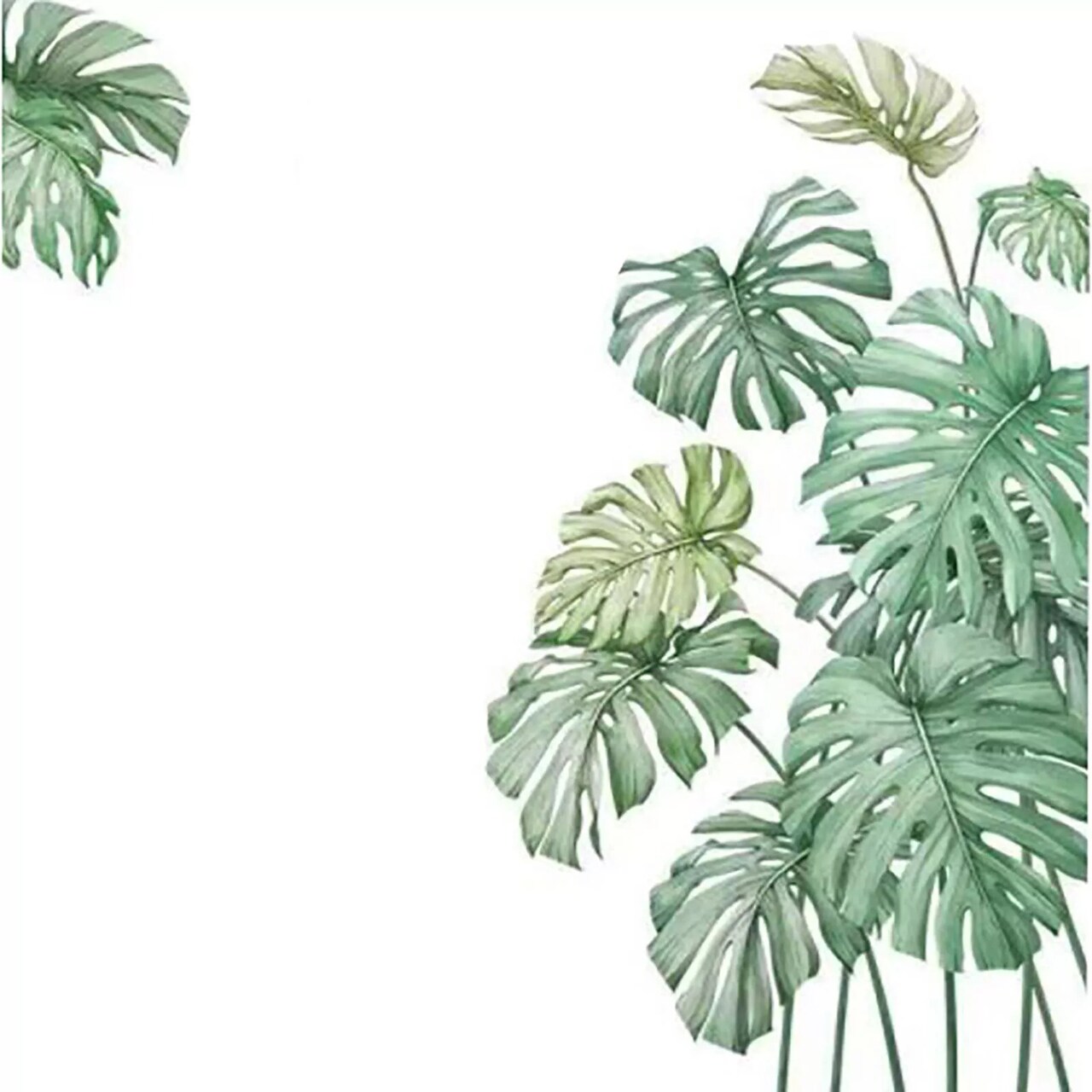 Green Wall Stickers Tropical Palm Leaves Removable PVC Dorm room Decorations